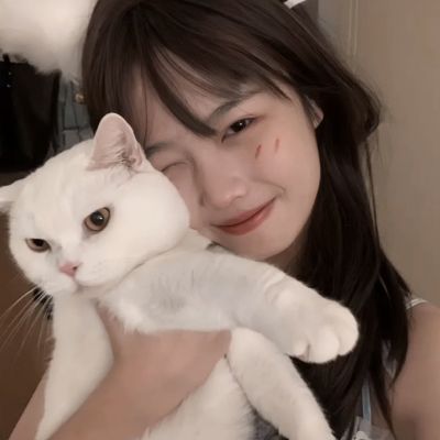 一刀传奇bt私服版下载